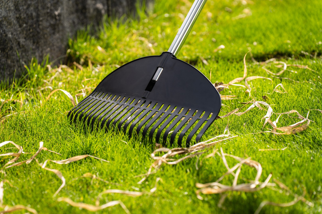GREBLA PENTRU FRUNZE 50CM EXP STALCO.GD