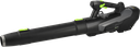 SUFLANTA.FRUNZE.ACUMULATOR.S052398818.STALCO